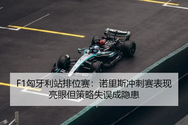 xiong-ya-li-zhan-pai-wei-sai-nuo-li-si-chong-ci-sai-biao-xian-liang-yan-dan-ce-lve-shi-wu-cheng-yin-huan-3-276.jpg